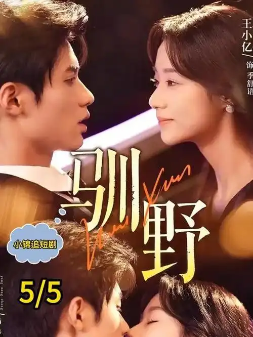 千灯巷都市情感剧手机在线观看